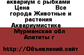 аквариум с рыбками › Цена ­ 15 000 - Все города Животные и растения » Аквариумистика   . Мурманская обл.,Апатиты г.